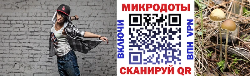 Псилоцибиновые грибы Magic Shrooms где купить наркоту Чехов