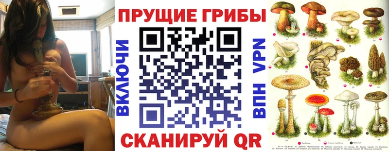 Галлюциногенные грибы Psilocybe Чехов